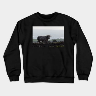 Stance - Margam Bull - 2012 Crewneck Sweatshirt